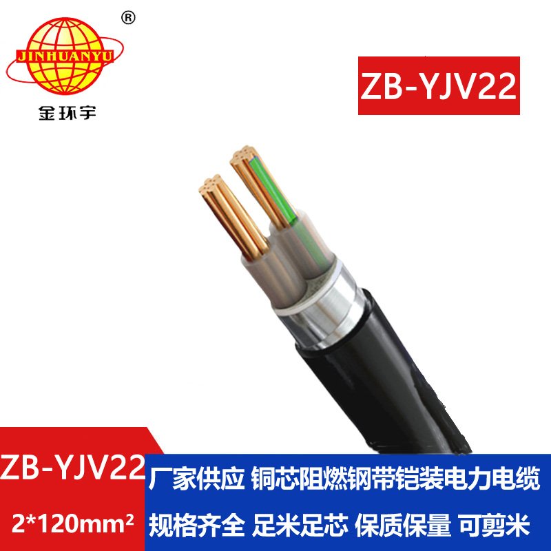 金环宇电缆 2芯铠装电缆 深圳阻燃铠装电缆ZB-Y